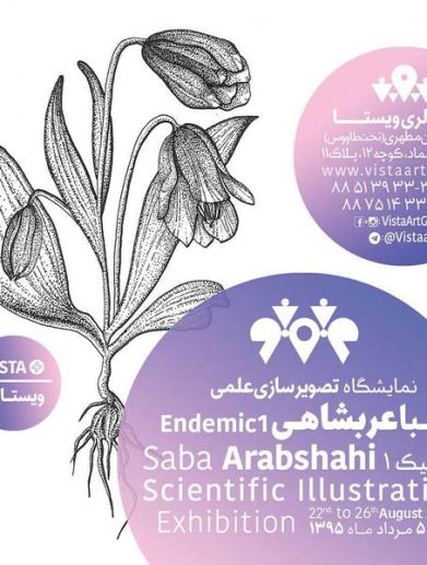 سبا عربشاهی