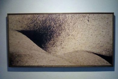 محمدرضا جوادی