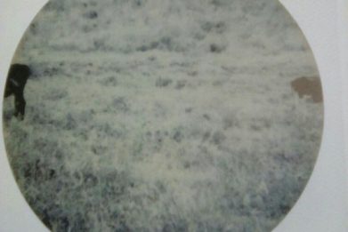 علییار راستی