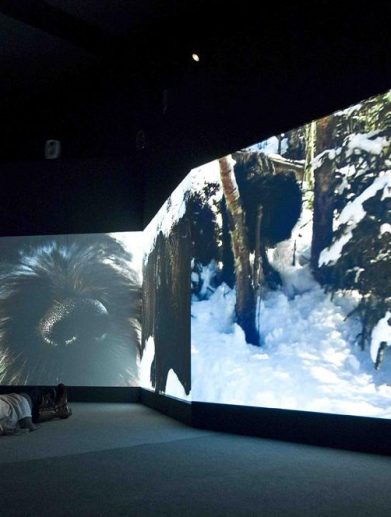 کتاب هنر بعد از 1960