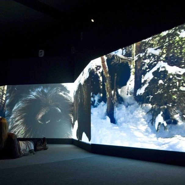 کتاب هنر بعد از 1960