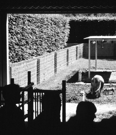 خلاصه کتاب هنر