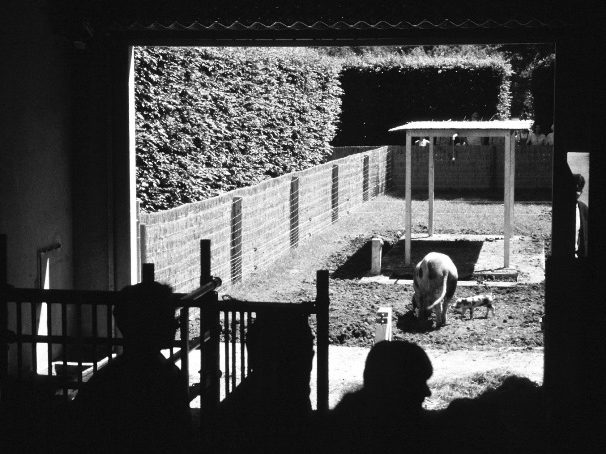 خلاصه کتاب هنر