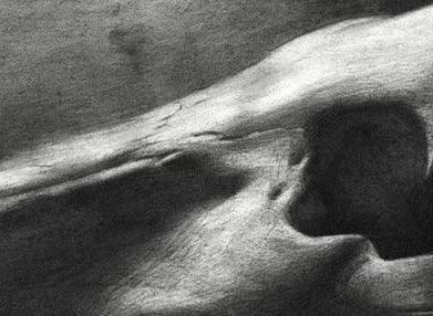 فراخوان INDA12