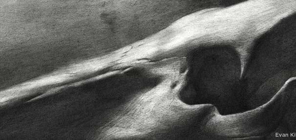 فراخوان INDA12