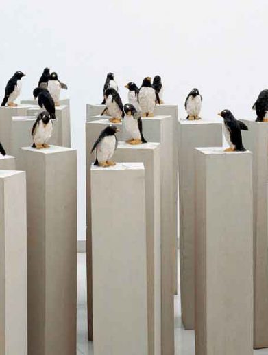 اشتفان بالکِنهول