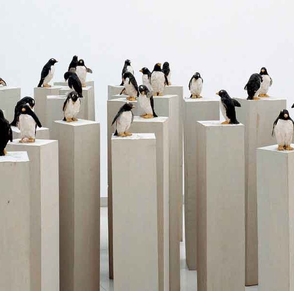 اشتفان بالکِنهول