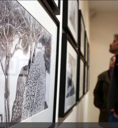 رضا لواسانی