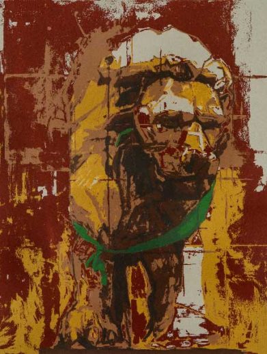 امیر حسین اخوان