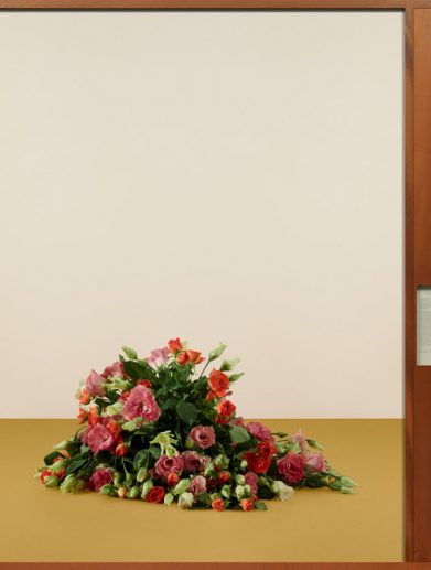 نیویورک تایمز