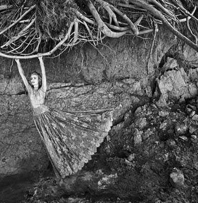 عکاسی - PX3 2017