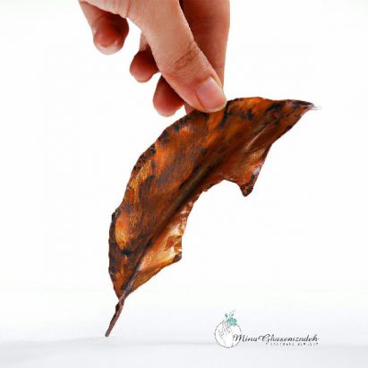 مینا قاسم زاده