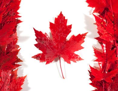 فراخوان نمایشگاه