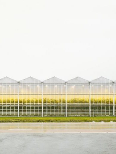 هنریک اسپولر