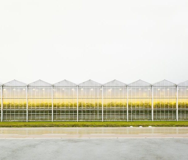 هنریک اسپولر