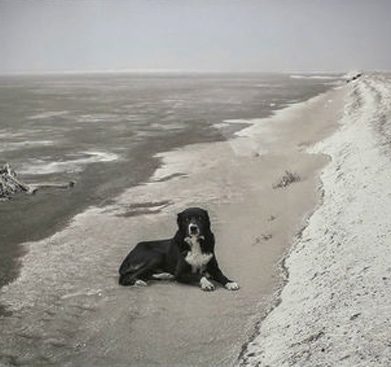 نمایشگاه عکس پگاه قديرى