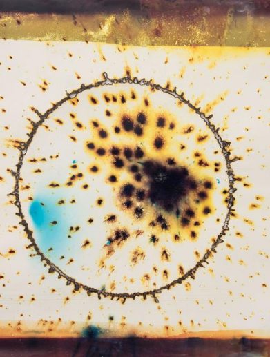 گالری عکاسی یک از یک