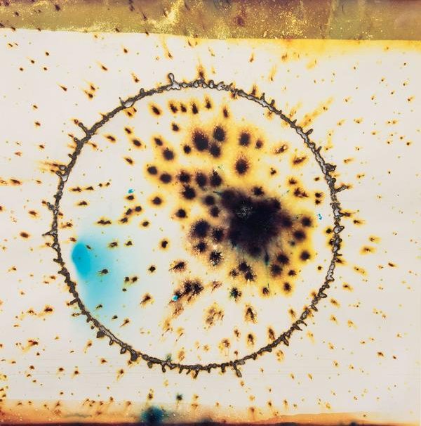 گالری عکاسی یک از یک