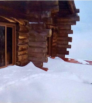 بهاره رضاپور- هنرستان هنرهای زیبا