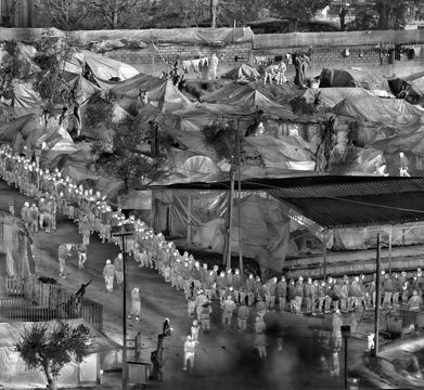 ریچارد ماس richard mosse