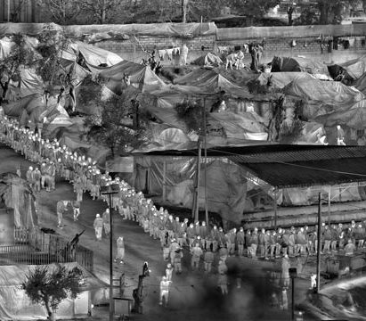 ریچارد ماس richard mosse