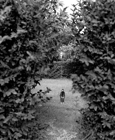 دالهای ضمنی نیما علیزاده