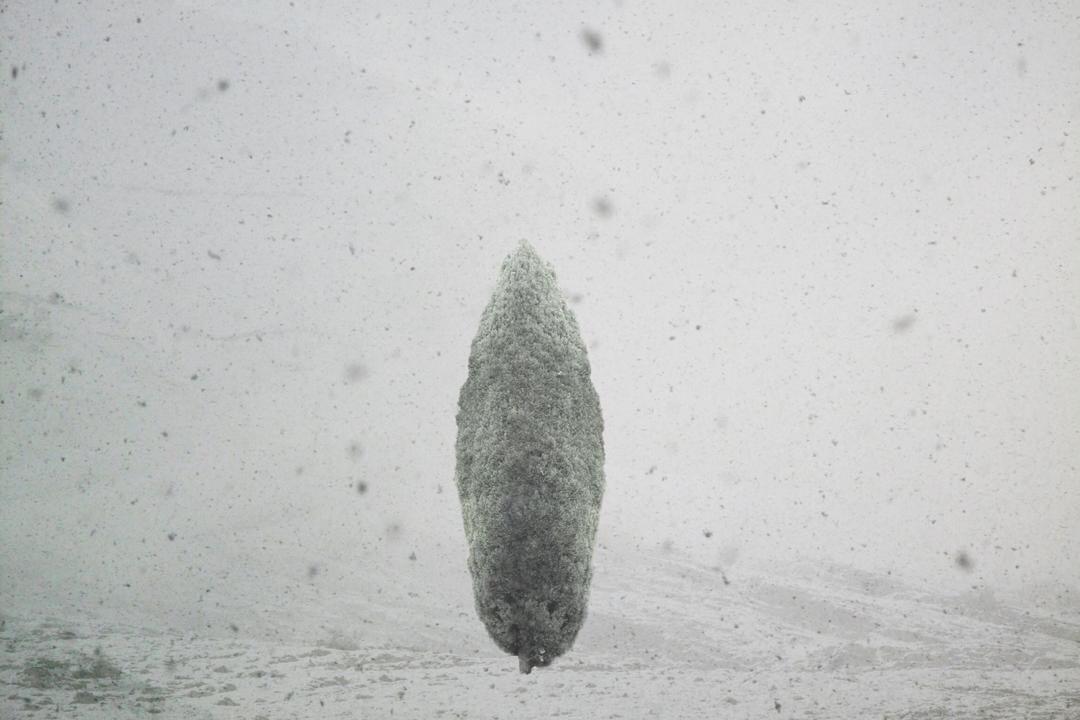 برف نمایشکاه گروهی عکس و ویدئوآرت گالری 14 چهارده