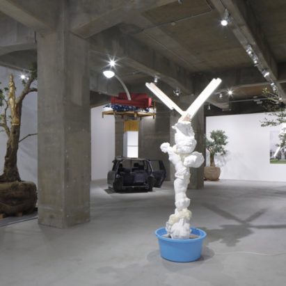 گالری آنومالی