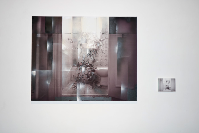 نمایشگاه نقاشی - عکس‌های عبدالحمید پازُکی و ژیلا مختاری گالری هور