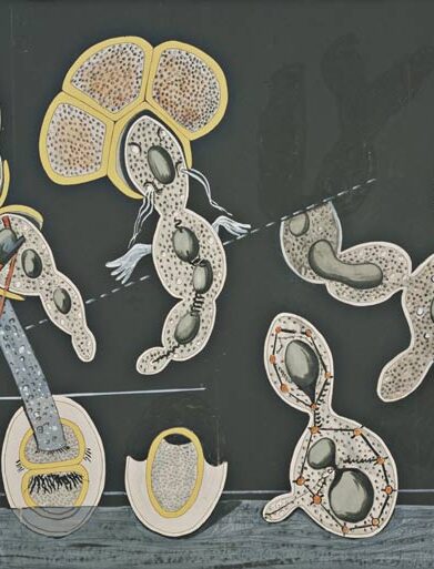 جنبش دادائیسم کتاب هنر مدرن