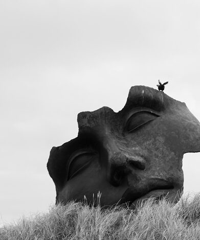 شقایق سعیدی نمایشگاه عکس او نیست با خودش گالری شیدایی