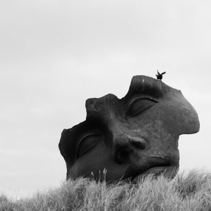 شقایق سعیدی نمایشگاه عکس او نیست با خودش گالری شیدایی