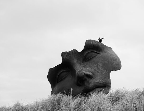 شقایق سعیدی نمایشگاه عکس او نیست با خودش گالری شیدایی