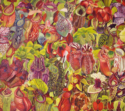 سپیده نور منش گل های گوشتخوار گالری ویترینه