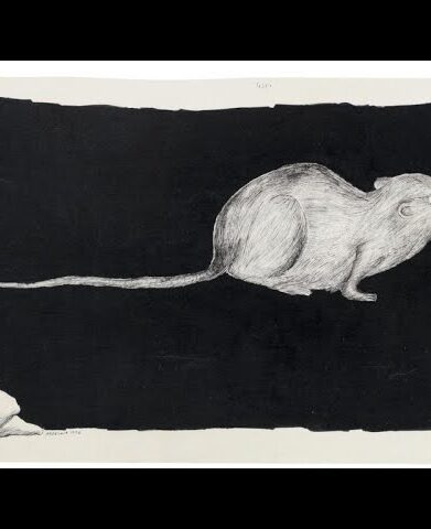 اردشیر محصص کاریکاتوریست ایرانی