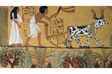 هنر مصر و ملی گرایی بومی