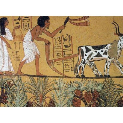 هنر مصر و ملی گرایی بومی