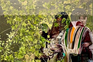 زینب موحد گالری نیان