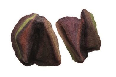 نمایشگاه الیزارین گالری نگر آنیما احتیاط