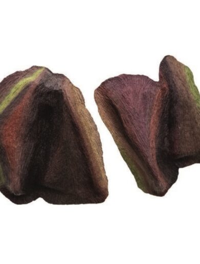 نمایشگاه الیزارین گالری نگر آنیما احتیاط