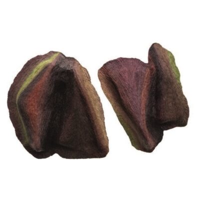 نمایشگاه الیزارین گالری نگر آنیما احتیاط