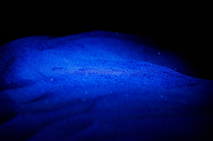 جولیانا گونگورا ستارگان دنیای هنر