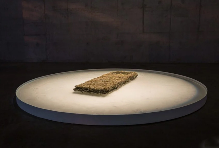 جولیانا گونگورا ستارگان دنیای هنر