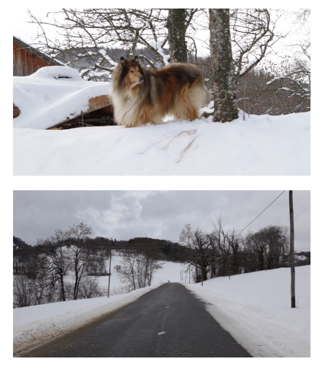 جان برجر درباره نگریستن