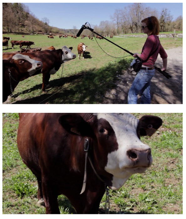 جان برجر درباره نگریستن