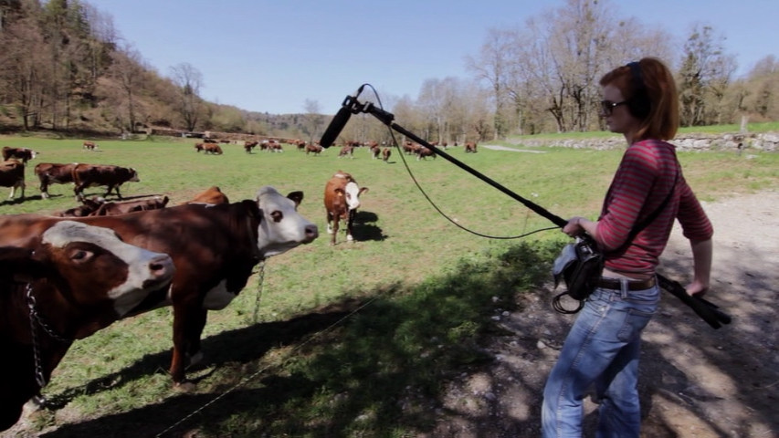 خوانش عکس و زمینه