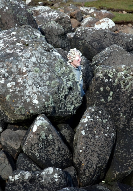 طبیعت و هنر مفهومی کارولینه هیورت ریتا ایکونن