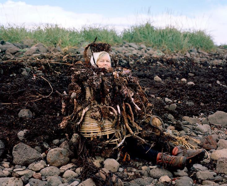 طبیعت و هنر مفهومی کارولینه هیورت ریتا ایکونن