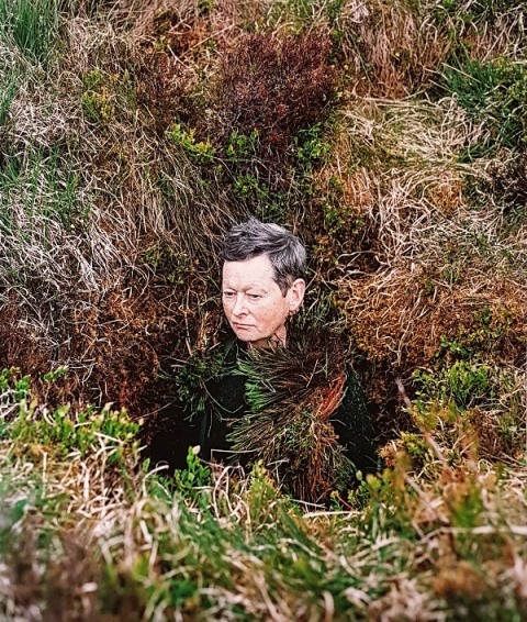 طبیعت و هنر مفهومی کارولینه هیورت ریتا ایکونن