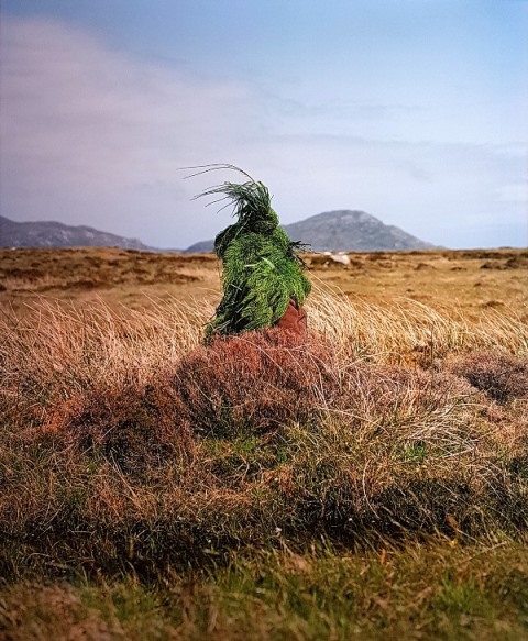 طبیعت و هنر مفهومی کارولینه هیورت ریتا ایکونن